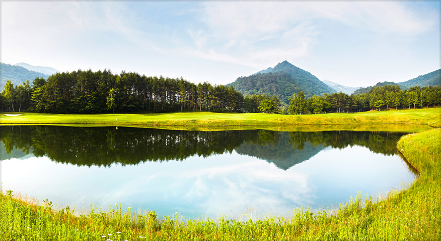 용평골프 전경