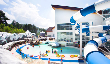 비치키디풀 사진