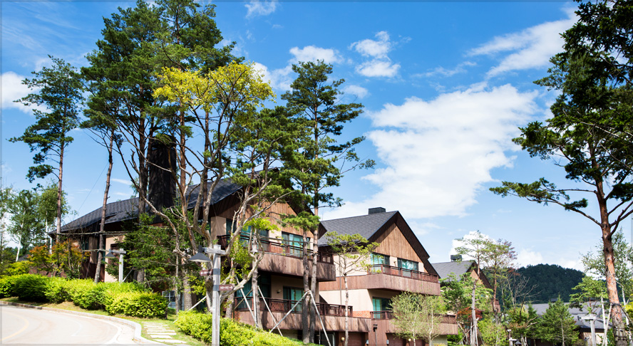 포레스트 전경 사진