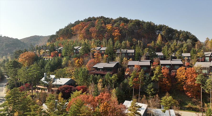 포레스트 전경 사진