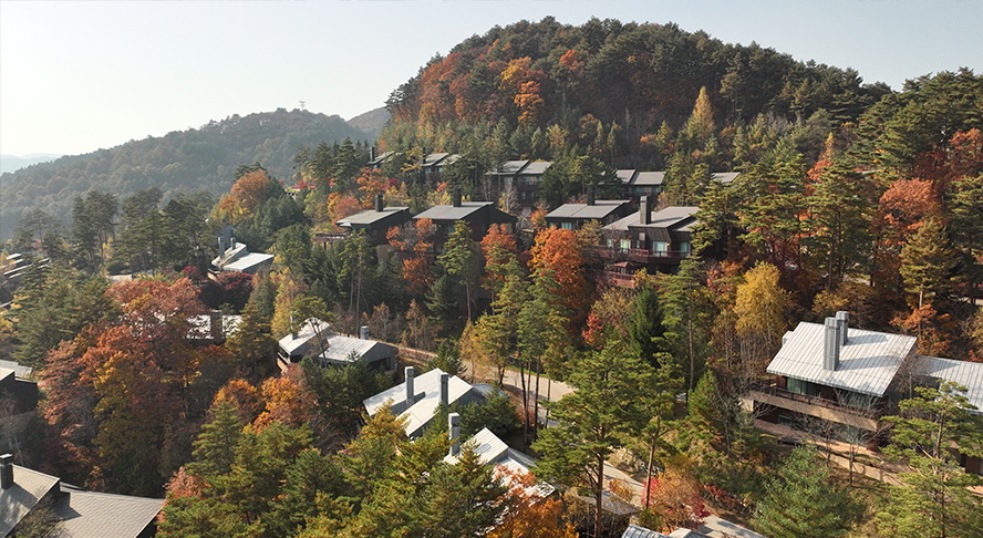 포레스트 전경 사진