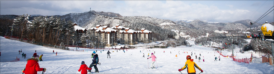 용평리조트 강습 이미지