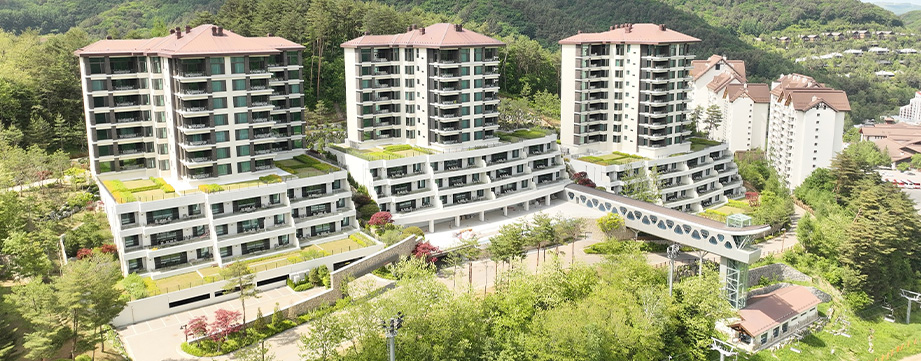 아폴리스 60타입