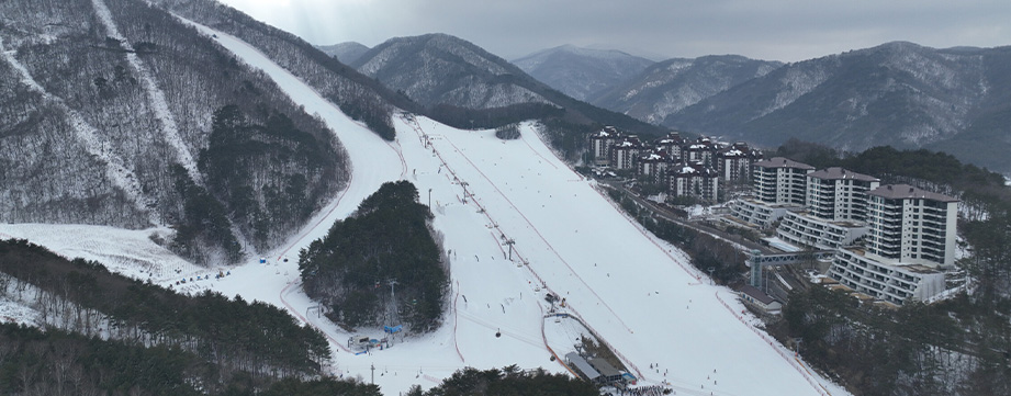 아폴리스 89타입